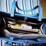 OnTheGo Bag Organizer2